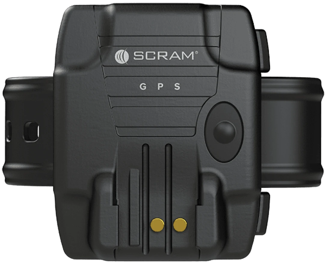 Electronic ankle bracelet monitor